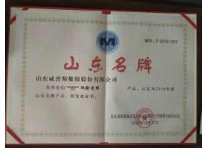 Shandong Phoebus Rubber Co.,ltd.Gain new honor